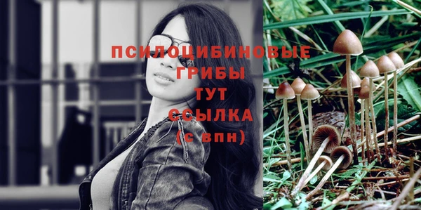 соль курить ск Алексин