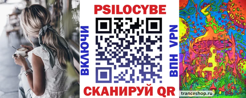 Купить где  Гай  Галлюциногенные грибы мицелий 